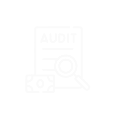 Icon Audit 